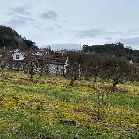 ロッジ Solvag Fjord Ferie Hjelmeland