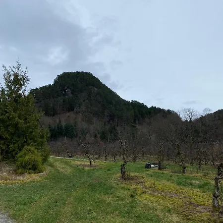 ロッジ Solvag Fjord Ferie