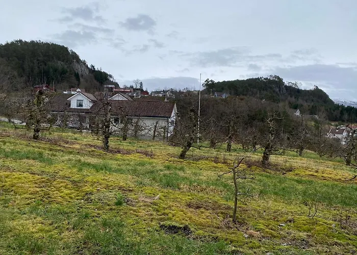 אכסניה Solvag Fjord Ferie Hjelmeland