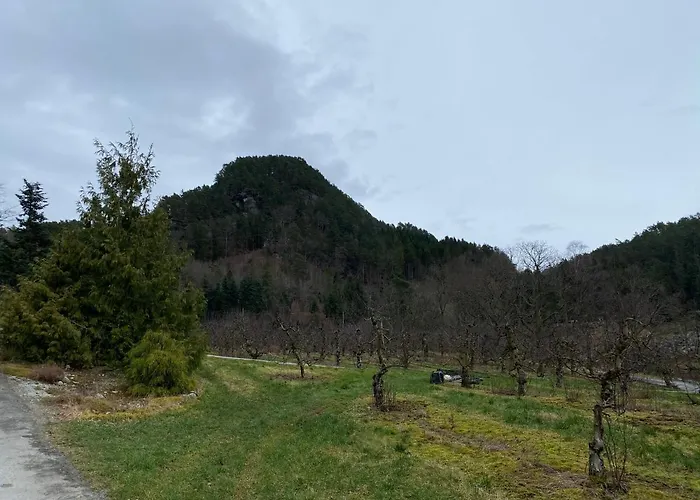 אכסניה Solvag Fjord Ferie